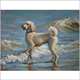 duetart - Yunong Wang